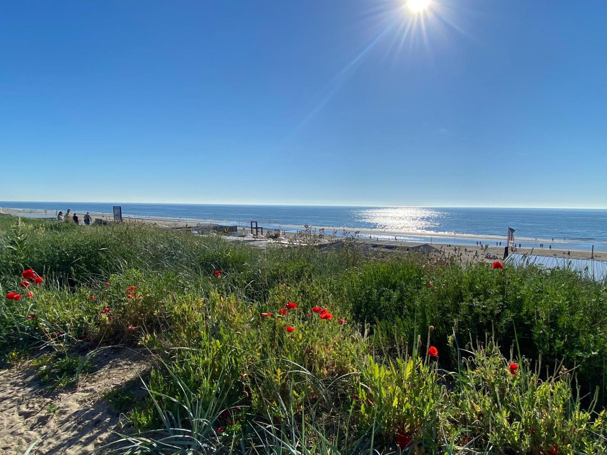 Maison Rue De La Mer Zandvoort Luaran gambar